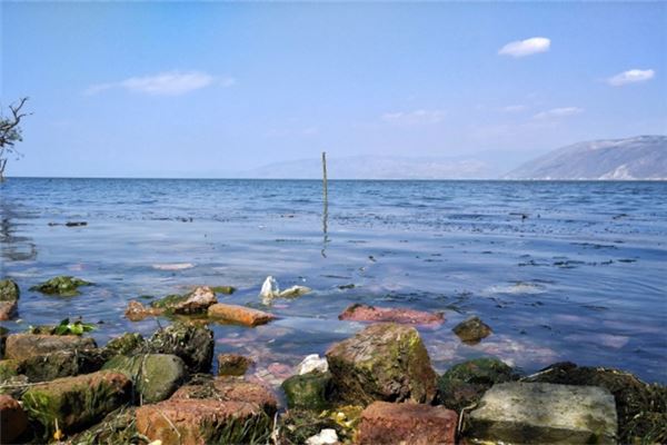 夢見發水_周公解夢