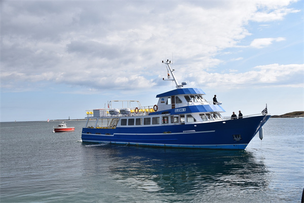 夢見坐遊船預兆了什麼嗎_周公解夢