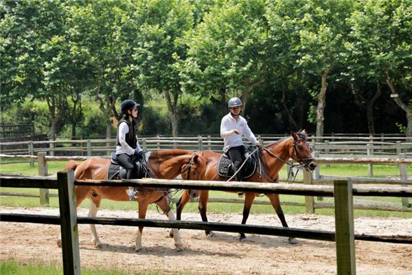 夢見兩人同騎馬_周公解夢