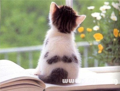 十一假期找什麼兼職_十二星座