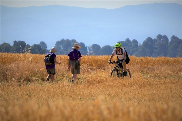 夢到了丟腳踏車是凶兆還是吉兆_周公解夢