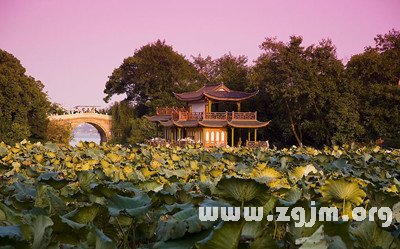 12星座最適合居住在中國的哪個城市_十二星座