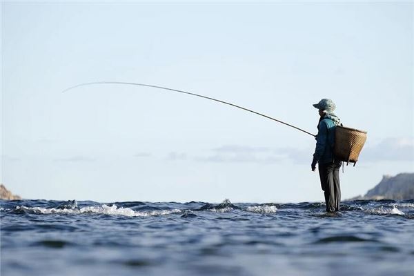 夢見釣魚放下鉤就有魚_周公解夢
