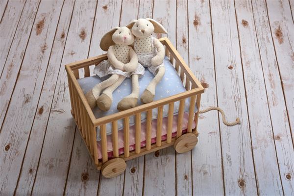 屬兔的婚姻禁忌_十二生肖