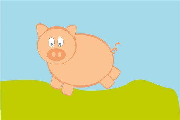 1995什麼時辰出生屬豬人財運好_十二生肖