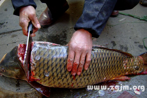 夢見殺大魚