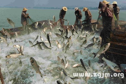 夢見捕魚