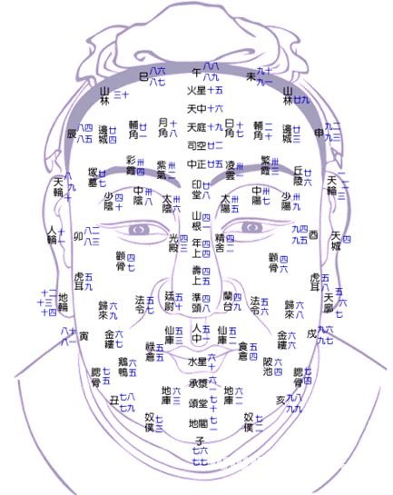 面相學圖解：01、論面相_看相大全