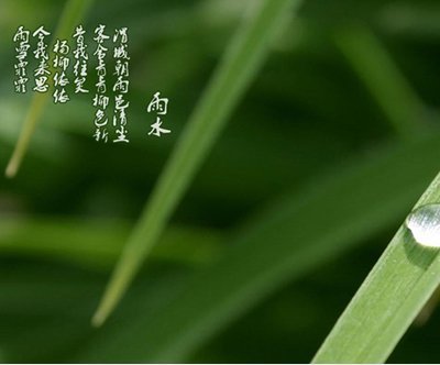 2014年雨水是什麼時候，2014年雨水是幾月幾號