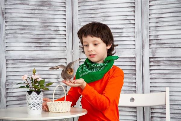 夢見打自己小孩_周公解夢