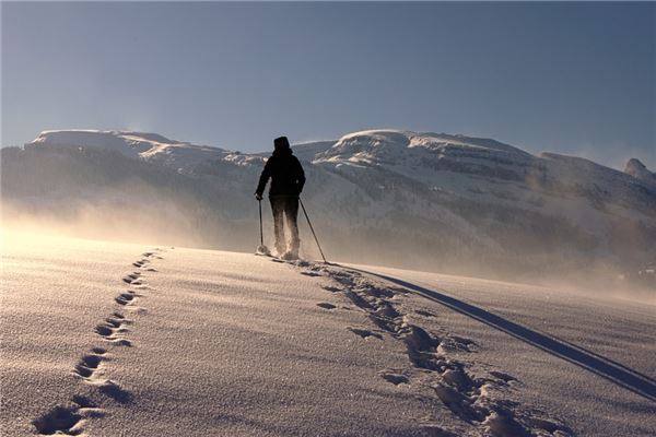 夢見在雪地上行走意味什麼_周公解夢