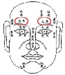 面相分析：13、十二命宮圖_看相大全