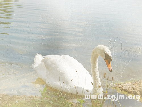 12星座男總是“愛自己”比較多_十二星座