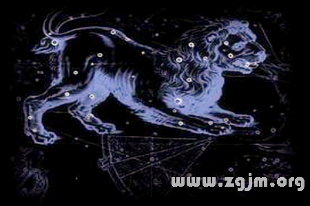 占星看獅子座的巨能量_十二星座