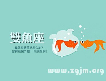 雙魚座是什麼電器_十二星座