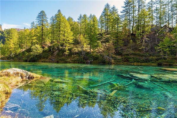 夢見一池清水是什麼意思_周公解夢