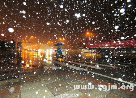 夢見下著鵝毛大雪