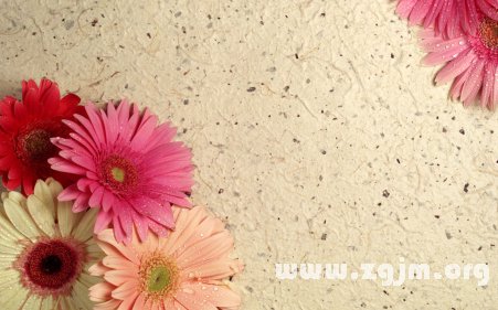 撿到錢的O型血_血型性格