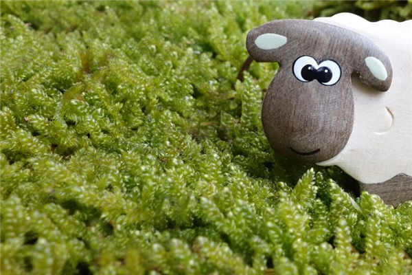 1967屬羊11月的好嗎_十二生肖