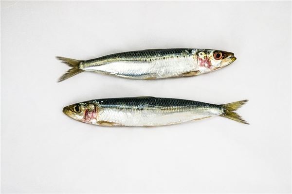 夢見抓了兩條魚_周公解夢