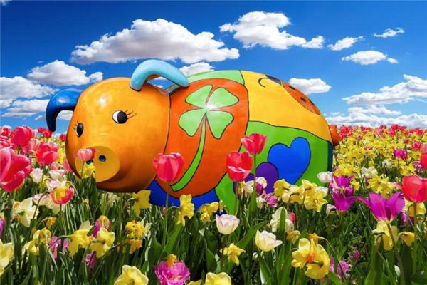 2019年5月生肖豬姻緣如何_十二生肖