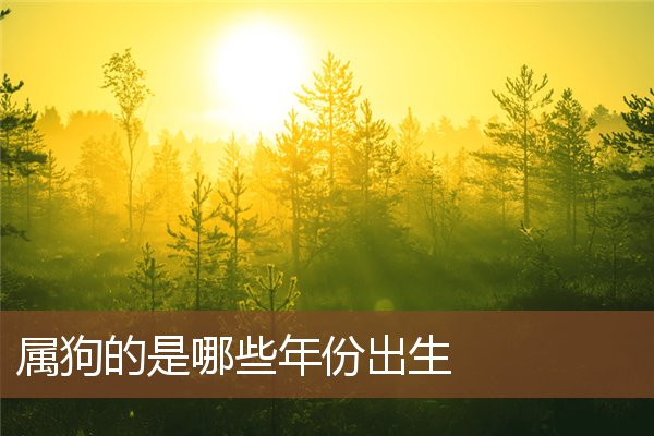 屬狗的是哪些年份出生_十二生肖
