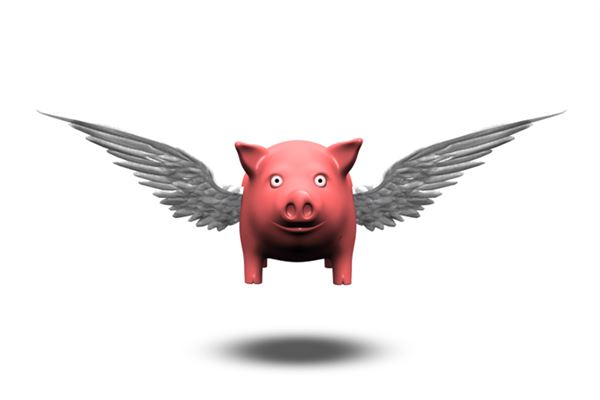 夢見一頭豬_周公解夢