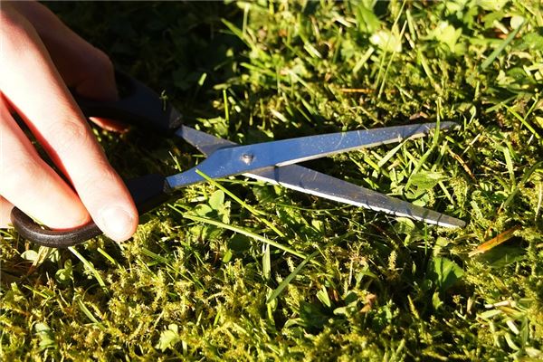 夢見割草_周公解夢