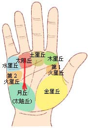 手相圖解大全：21、剖析嫁入豪門的掌上玄機_看相大全