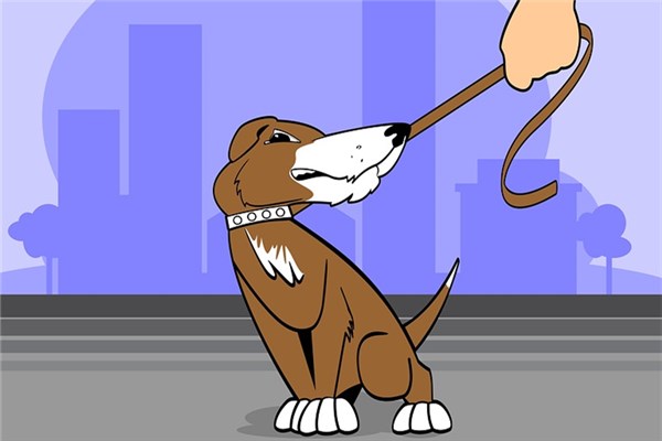 夢到了叛逆預示了什麼_周公解夢