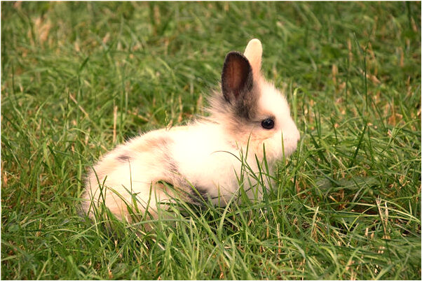 夢到自己的秘密被公開意味著什麼_周公解夢官網