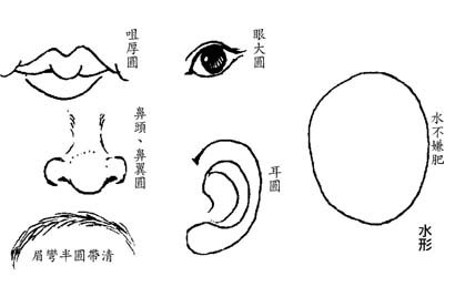 水型人的面部特徵