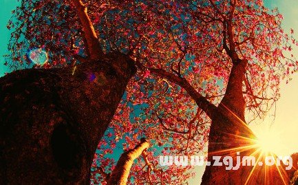 喜歡戀愛腳踏幾隻船的星座男生_十二星座