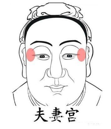 面相的夫妻宮在那裡