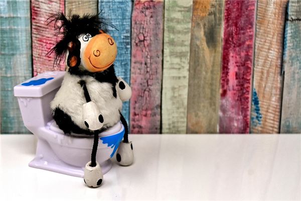 夢見自己在拉大便預示什麼_周公解夢