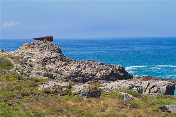 夢到了海青意味著什麼_周公解夢