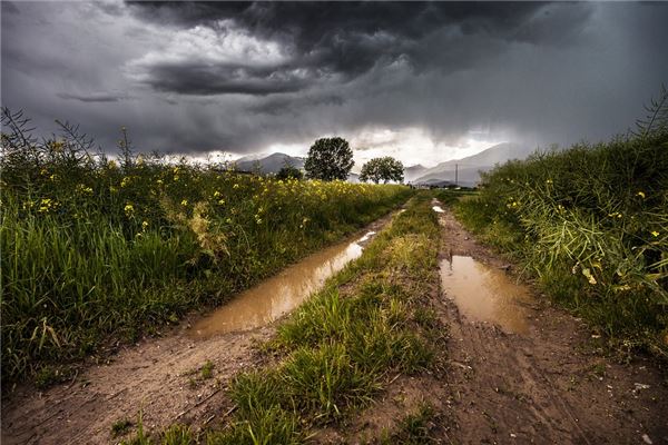 夢見雨後道路泥濘_周公解夢