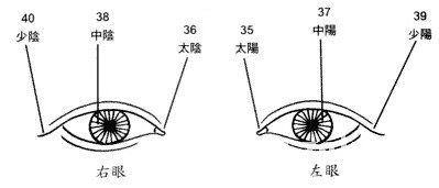 眼睛面相圖解