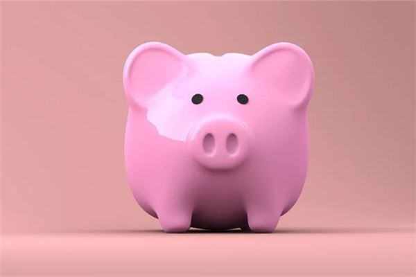 2007年出生是什麼命_十二生肖