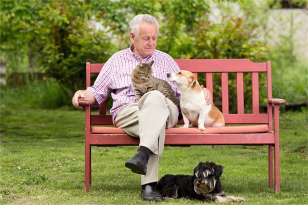 四九年出生屬什麼生肖_十二生肖