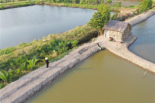 夢見池塘邊會是什麼預兆_周公解夢