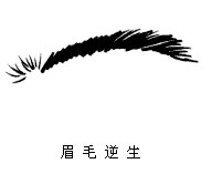 眉毛逆生