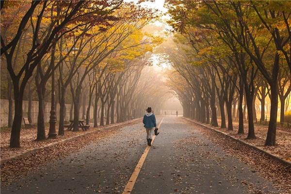 夢到走路困難的預兆_周公解夢