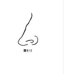 羅馬鼻