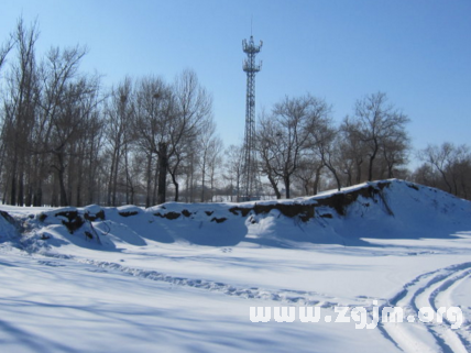 夢見很多雪