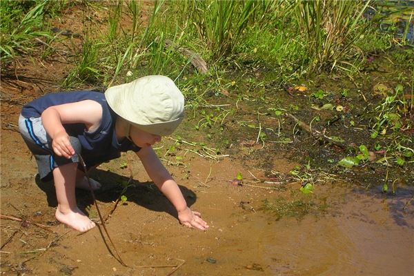 夢見泥巴水預示什麼_周公解夢