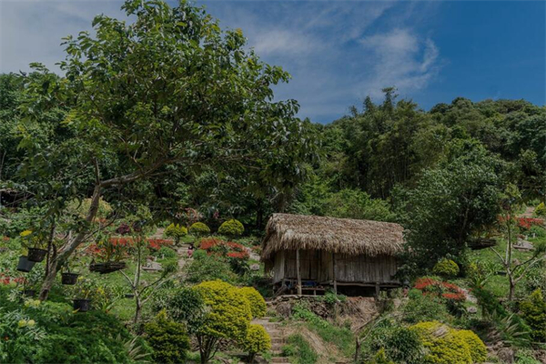 夢見草屋有什麼含義_周公解夢