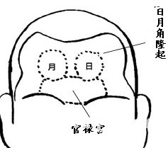 面相額頭圖解