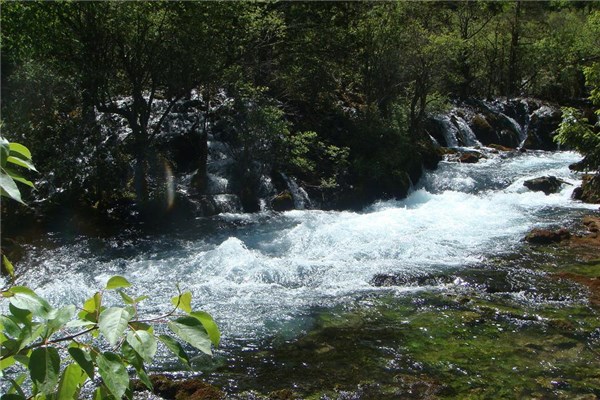 夢到了小溪水有什麼說法_周公解夢