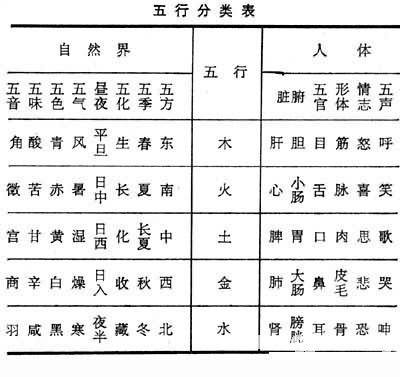 五行和人體的對應關係